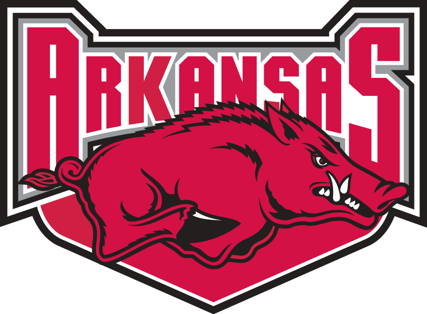 Arkansas Razorbacks 2001-2008 Alternate Logo iron on transfers for clothing